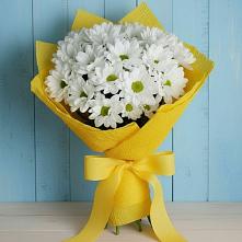Букет цветов из:  Хризантемы в Поселке станции Бронницы