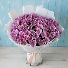 Букет цветов из:  Хризантемы в Поселке станции Бронницы