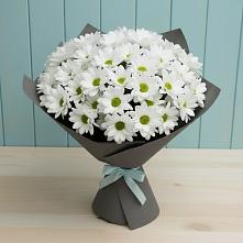 Букет цветов из:  Хризантемы в Поселке станции Бронницы