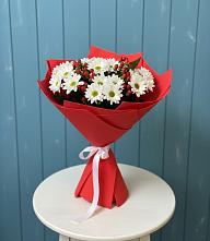 Букет цветов из:  Хризантемы в Поселке станции Бронницы