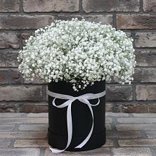 Цветочная композиция из Гипсофила в шляпной коробке в Поселке станции Бронницы